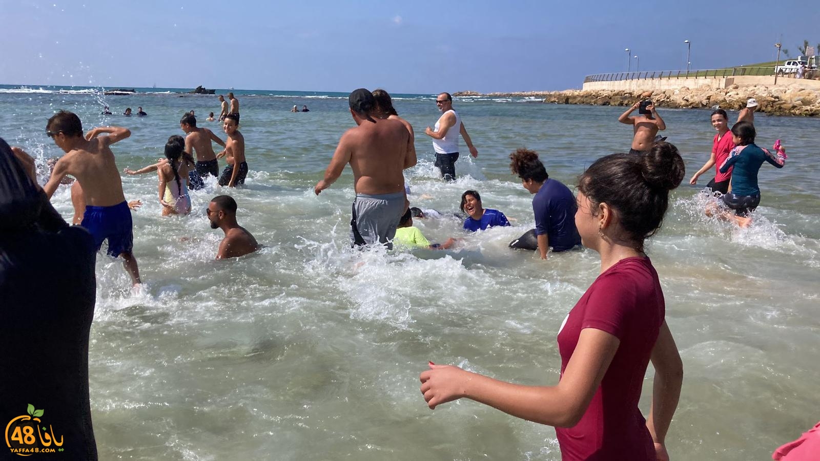 WhatsApp Image 2023-08-26 at 3.02.06 PM (1).jpeg